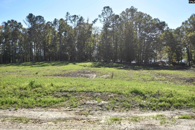 Property image 5 of Lot 4 Gold Nugget Point in Gold Nugget Point, Prosperity, SC 29127