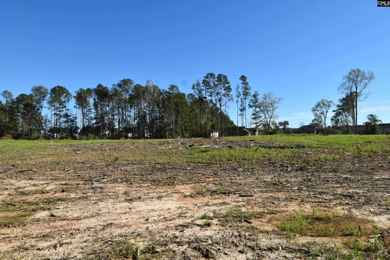 Property image 3 of Lot 7 Gold Nugget Point in Gold Nugget Point, Prosperity, SC 29127