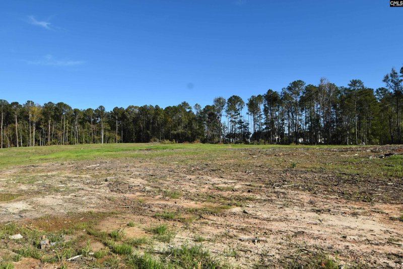 Property image 2 of Lot 8 Gold Nugget Point in Gold Nugget Point, Prosperity, SC 29127