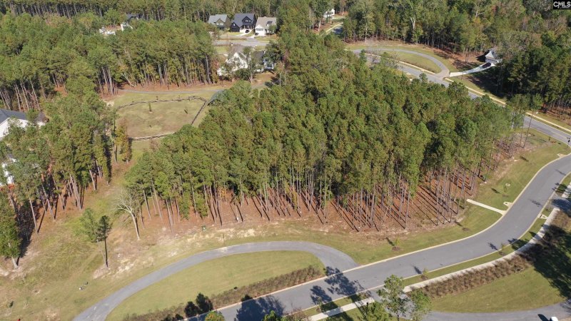 Property image 2 of Stewart Landing Drive in Stewart Landing, Prosperity, SC 29127