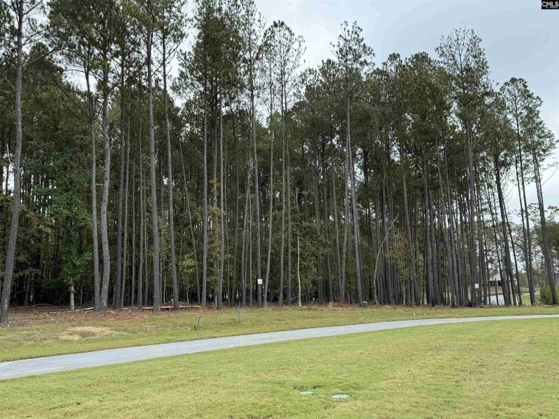 Property image 3 of Stewart Landing Drive in Stewart Landing, Prosperity, SC 29127