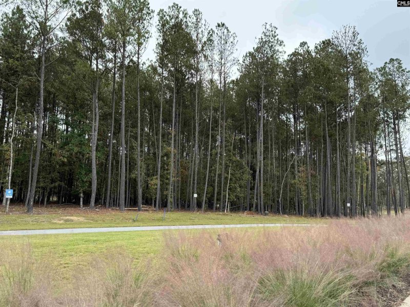 Property image 4 of Stewart Landing Drive in Stewart Landing, Prosperity, SC 29127