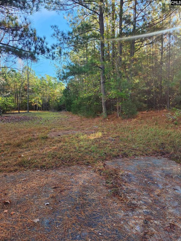 Property image 5 of E Of Sandcreek Drive in Sandcreek Hills, Winnsboro, SC 29180