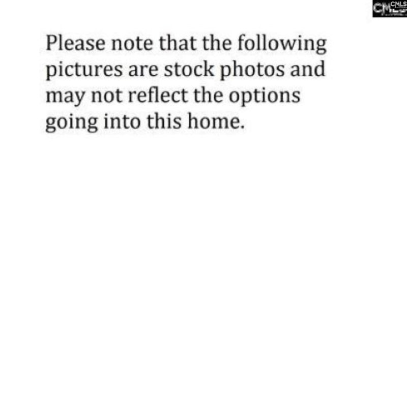 Property image 2 of 726 Clementine Run in Winston Point, Gilbert, SC 29054