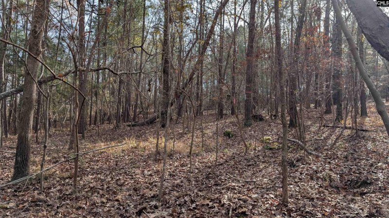 Property image 2 of Tbd Wateree Estates Road in Lake Wateree, Winnsboro, SC 29180-0000