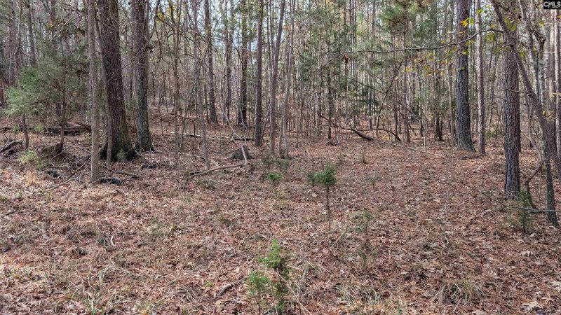 Property image 3 of Tbd Wateree Estates Road in Lake Wateree, Winnsboro, SC 29180-0000
