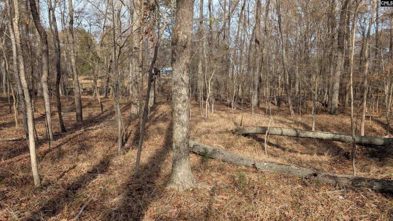 Property image 4 of Tbd Wateree Estates Road in Lake Wateree, Winnsboro, SC 29180-0000