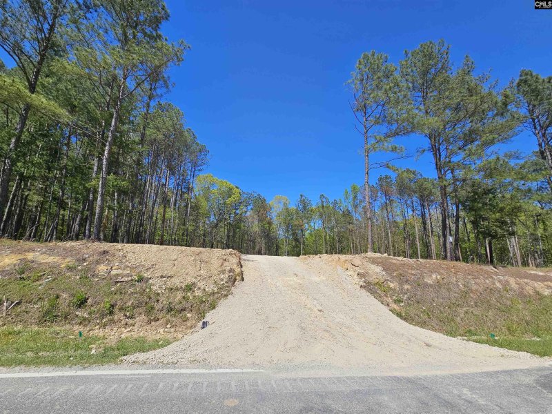 Property image 4 of Lot 230 Granny Hill Road in Stewart Landing, Prosperity, SC 29172