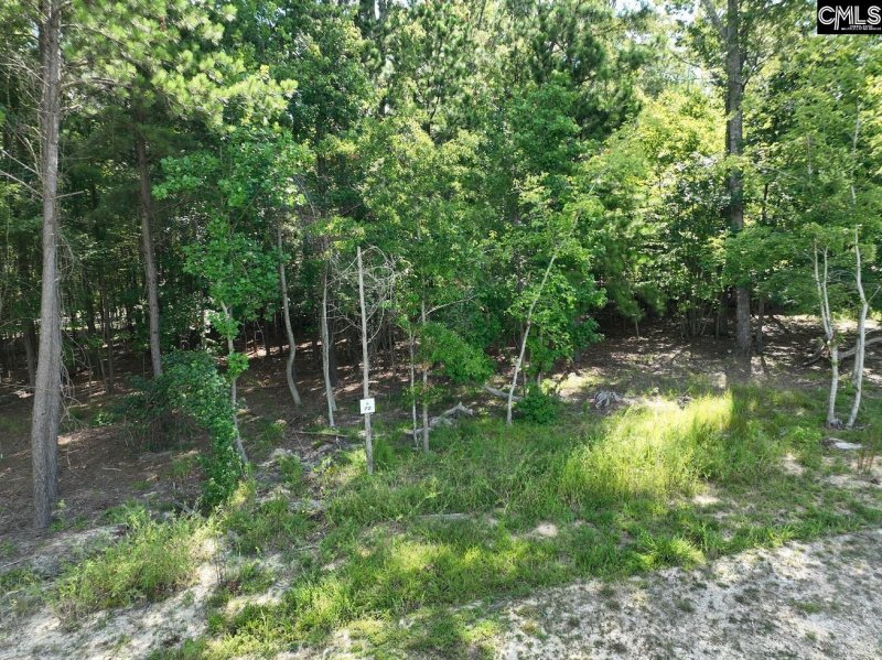 Property image 4 of Timber Trail Lane in Stewart Landing, Prosperity, SC 29127