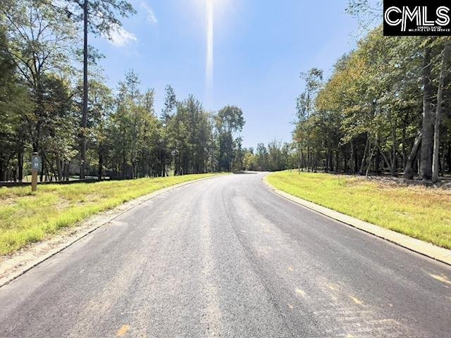 Property image 3 of 1029 Refuge Place in Whitewater Landing, Chapin, SC 29036