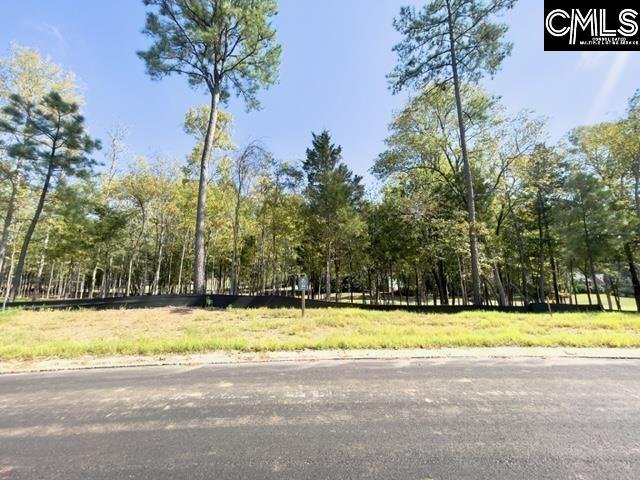 Property image 4 of 1029 Refuge Place in Whitewater Landing, Chapin, SC 29036