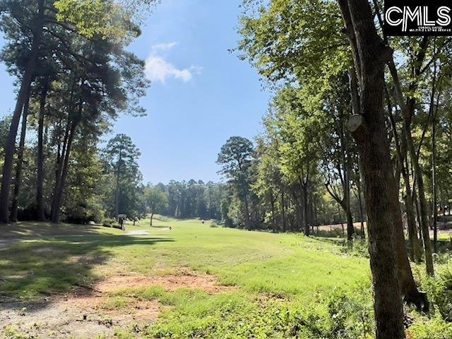 Property image 5 of 1029 Refuge Place in Whitewater Landing, Chapin, SC 29036