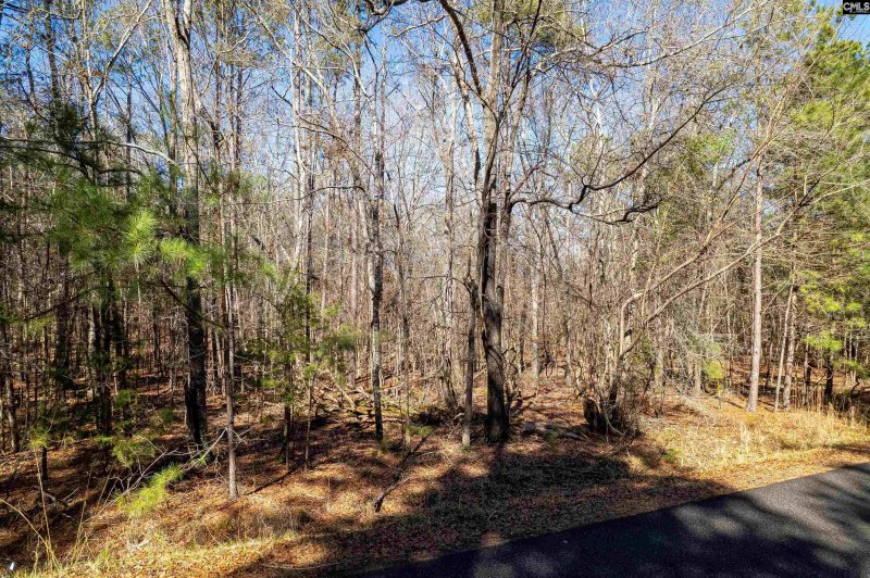 Property image 2 of 1105 Scooter Bridge Road in Lake Murray Estates, Batesburg, SC 29006