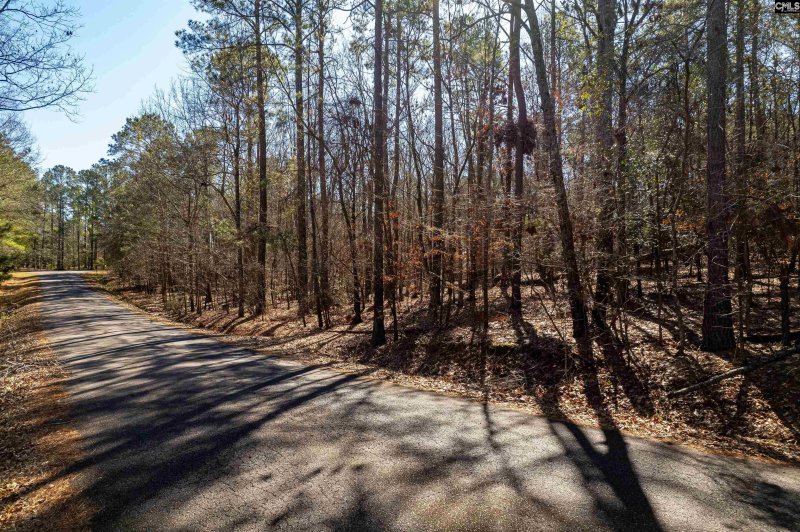 Property image 3 of 1115 Scooter Bridge Road in Lake Murray Estates, Batesburg, SC 29006