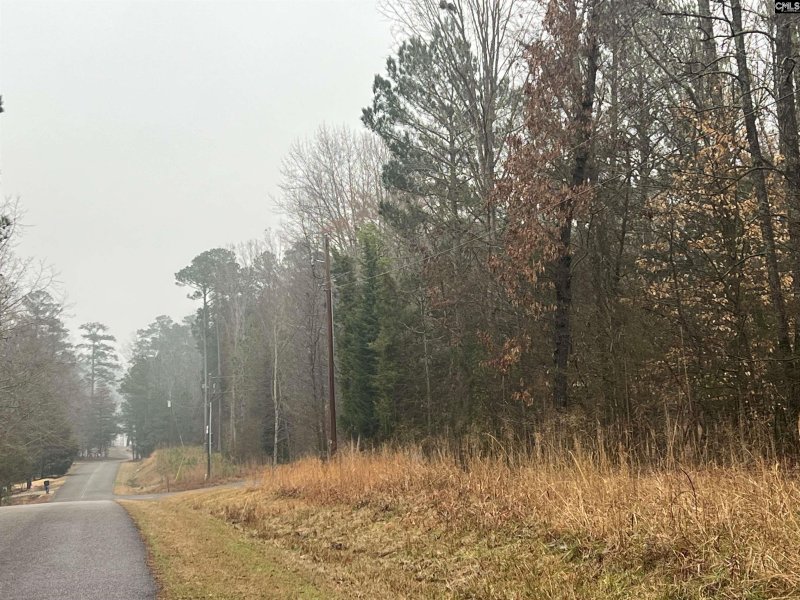 Property image 2 of Murray Point in Lake Murray Estates, Batesburg, SC 29006