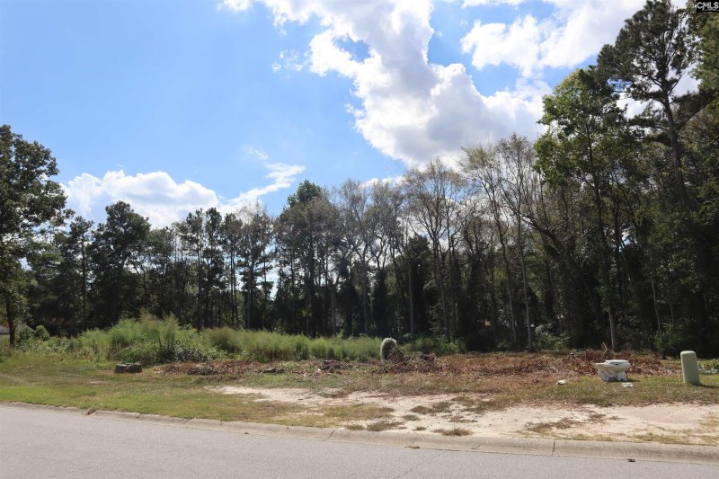 Property image 2 of W S Cranley Road in Winslow, Columbia, SC 29229