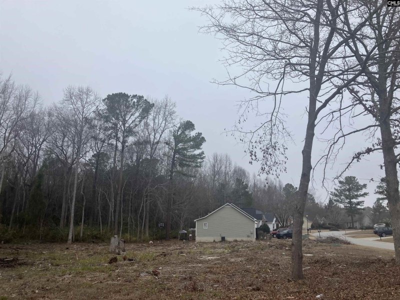 Property image 3 of W S Cranley Road in Winslow, Columbia, SC 29229