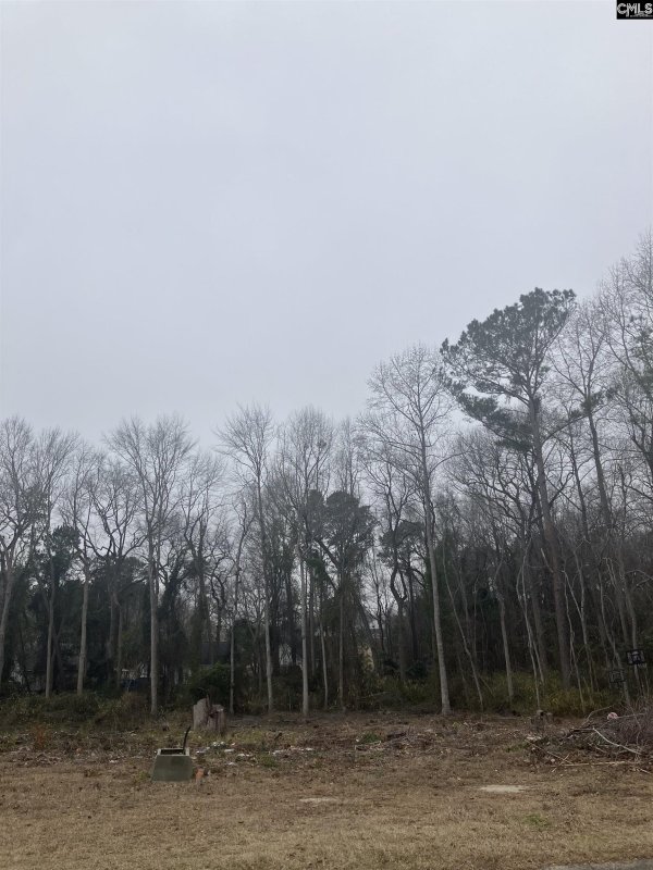 Property image 4 of W S Cranley Road in Winslow, Columbia, SC 29229