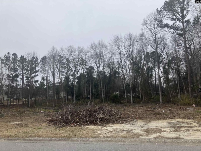 Property image 5 of W S Cranley Road in Winslow, Columbia, SC 29229