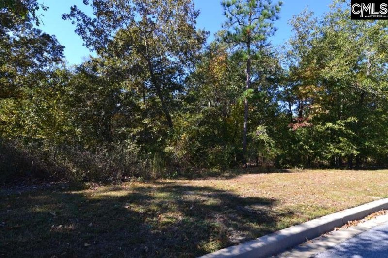 Montgomery Ridge, Blythewood Community