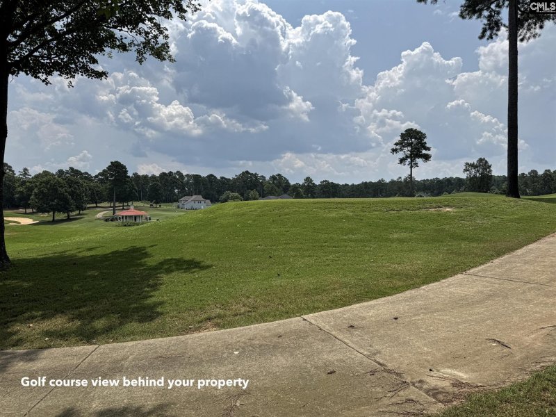 Property image 2 of 1240 Coogler Crossing Drive in Cobblestone Park, Blythewood, SC 29016