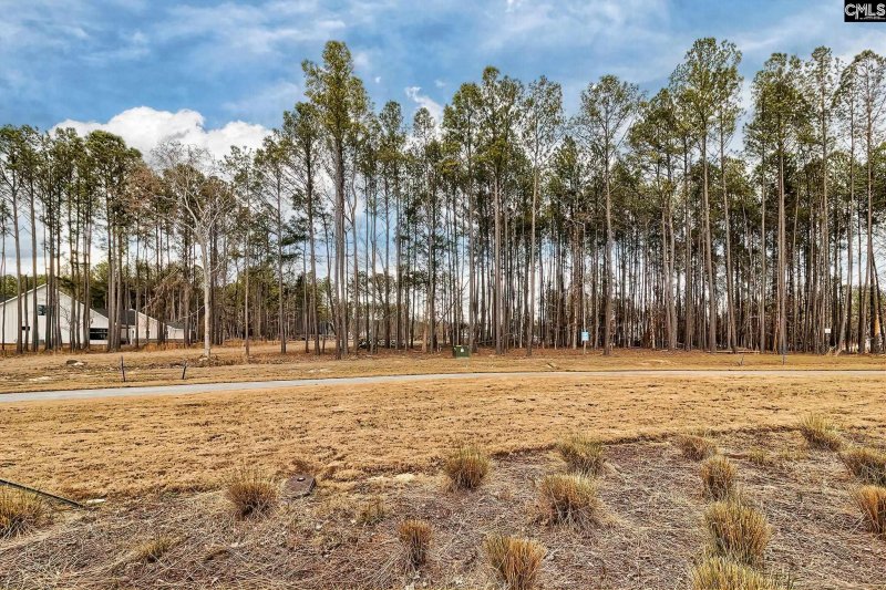 Property image 3 of 349 Stewart Landing in Stewart Landing, Prosperity, SC 29127