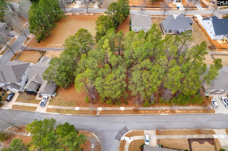 Property image 2 of 113 Playground Road in Cobblestone Park, Blythewood, SC 29016