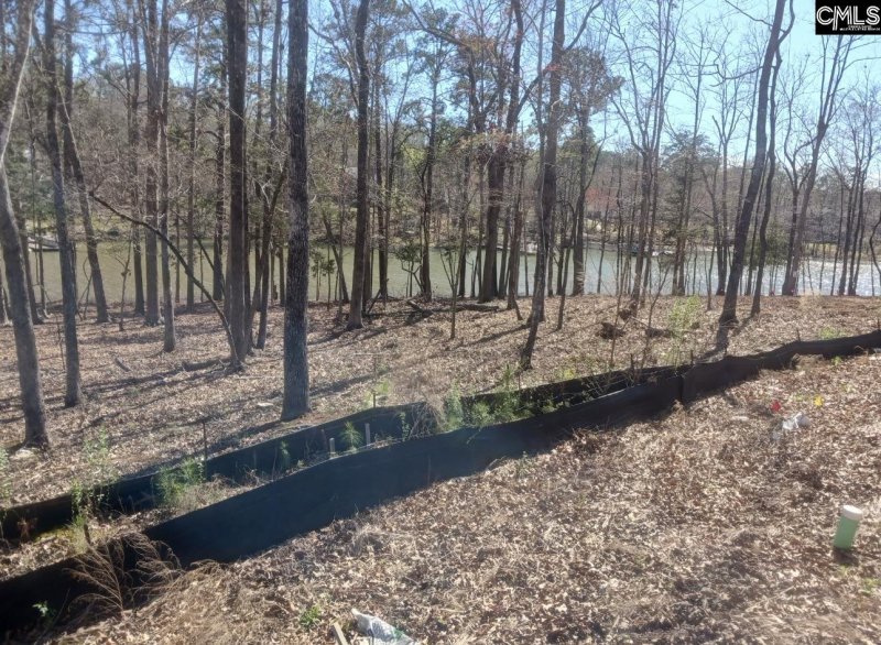 Property image 4 of 1061 Refuge Place in Whitewater Landing, Chapin, SC 29036