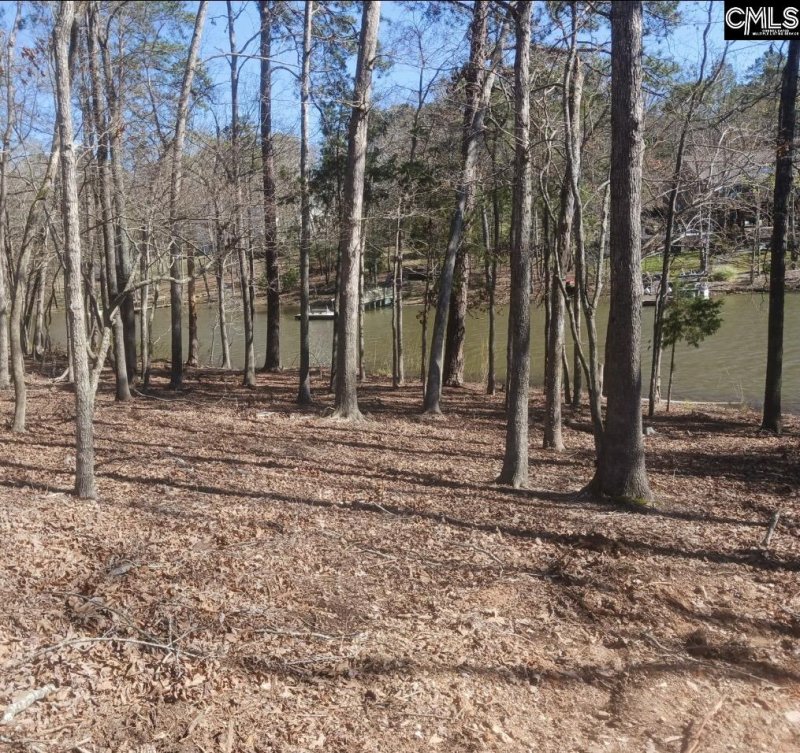 Property image 5 of 1061 Refuge Place in Whitewater Landing, Chapin, SC 29036