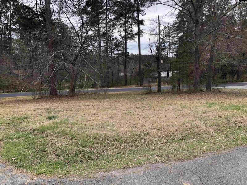 Property image 3 of 2 Fairway Ln in Fairways, Blythewood, SC 29016