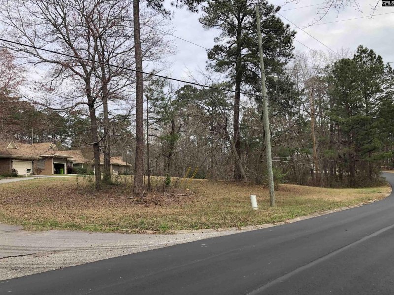 Property image 4 of 2 Fairway Ln in Fairways, Blythewood, SC 29016