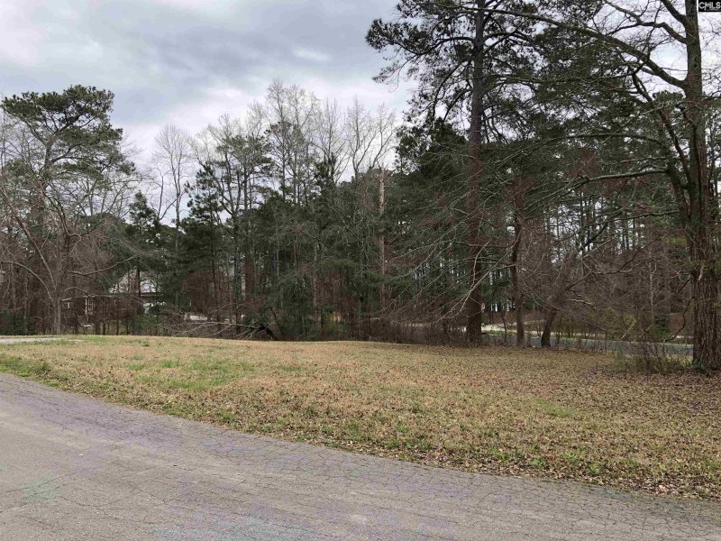 Property image 3 of 4 Fairway Ln in Fairways, Blythewood, SC 29016