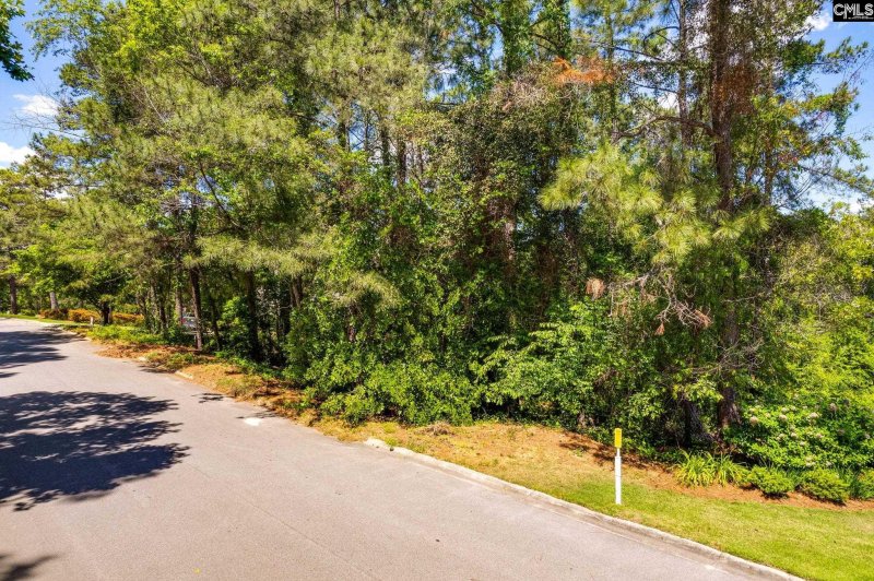 Property image 4 of 301 Running Fox Road in Wildewood, Columbia, SC 29223