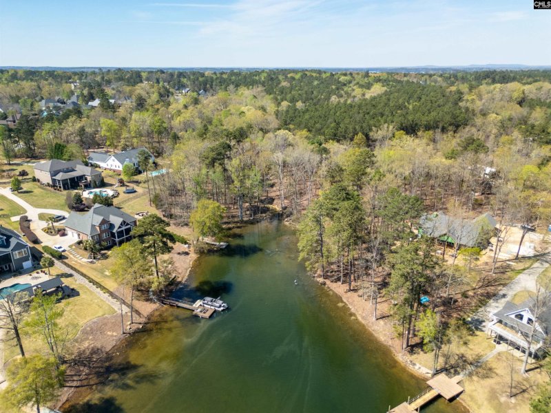 Property image 3 of 153 Pintail Lake Drive in Pintail Point, Gilbert, SC 29054