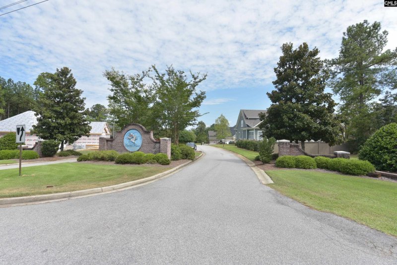 Property image 4 of 153 Pintail Lake Drive in Pintail Point, Gilbert, SC 29054