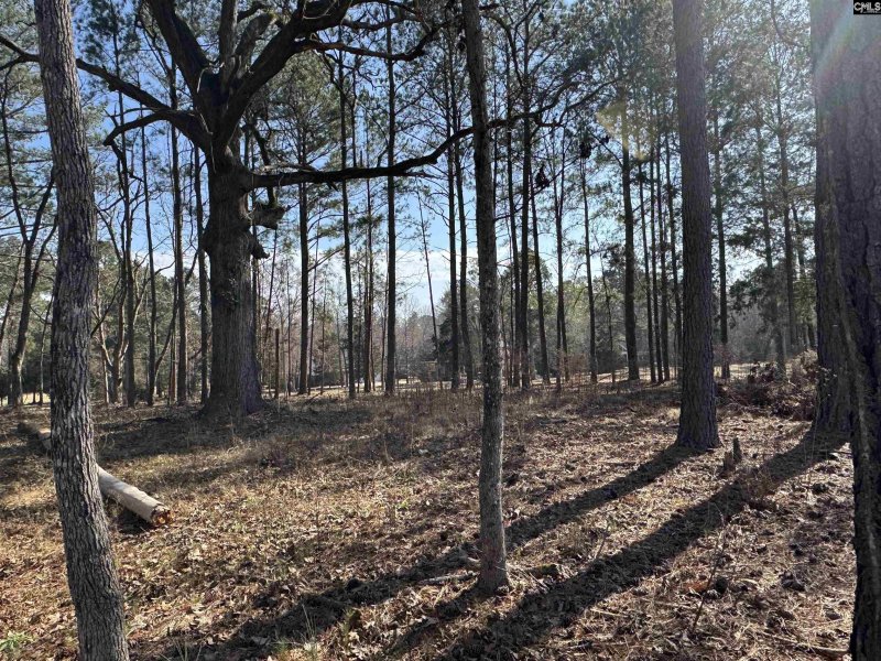 Property image 4 of Misty Banks Drive in Whitewater Landing, Chapin, SC 29036