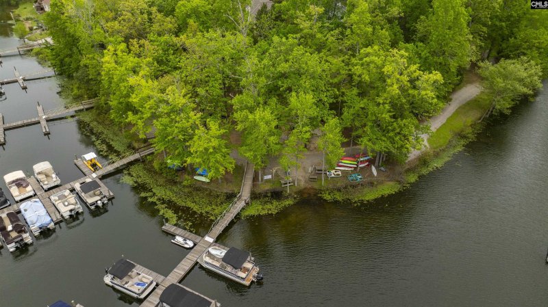 Property image 3 of 124 Pond Edge Lane in Cedar Cove, Chapin, SC 29036