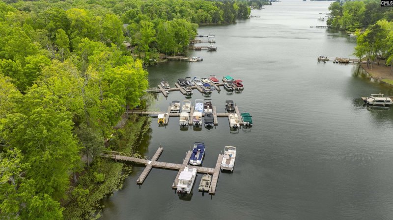 Property image 5 of 124 Pond Edge Lane in Cedar Cove, Chapin, SC 29036