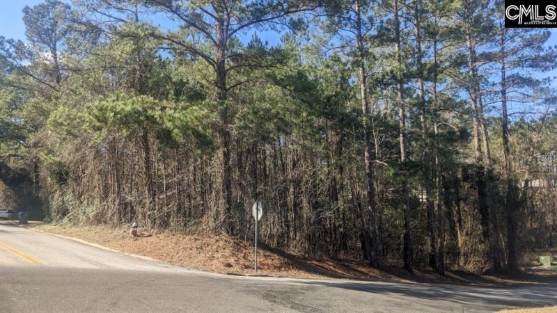 Property image 2 of 0 Highland North Frst in Highland Forest, Columbia, SC 29203