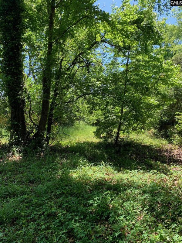 Property image 3 of 2308 Kingswood Drive in Rosewood, Columbia, SC 29205