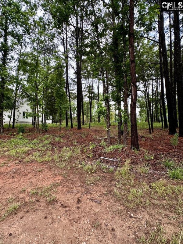 Property image 2 of 513 Misty Banks Drive in Whitewater Landing, Chapin, SC 29036