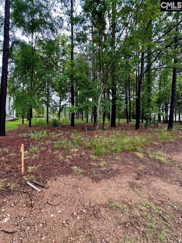 Property image 3 of 513 Misty Banks Drive in Whitewater Landing, Chapin, SC 29036