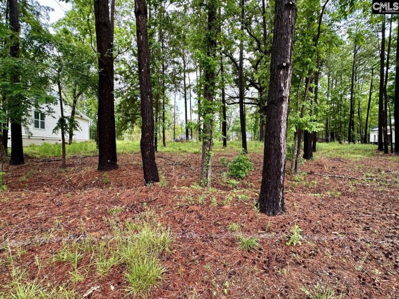 Property image 4 of 513 Misty Banks Drive in Whitewater Landing, Chapin, SC 29036