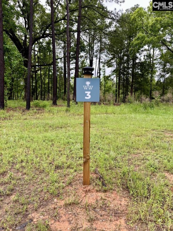 Property image 5 of 513 Misty Banks Drive in Whitewater Landing, Chapin, SC 29036