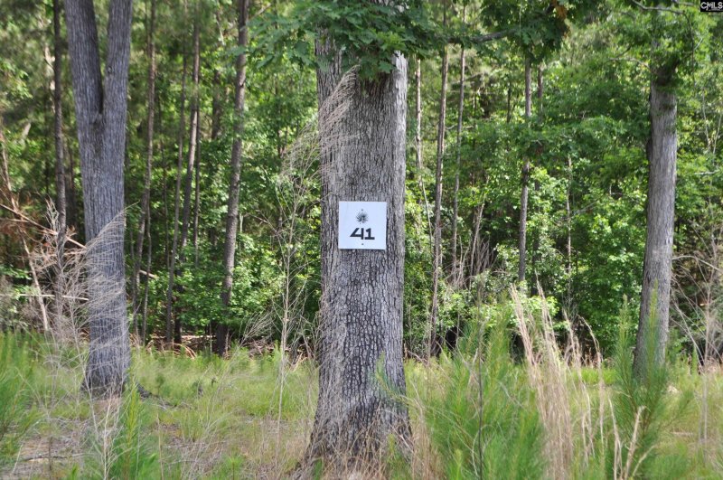 Property image 4 of 41 Shoreview Drive in Stewart Landing, Prosperity, SC 29127