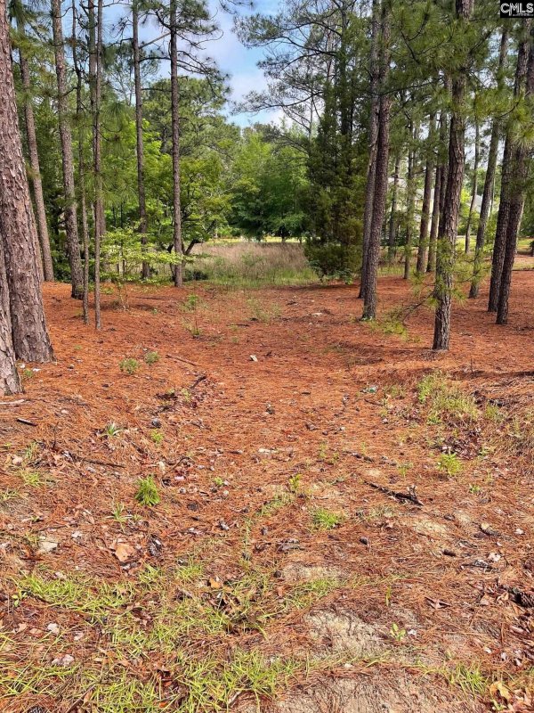 Property image 2 of 2233 Bee Ridge Road in Spring Valley, Columbia, SC 29223