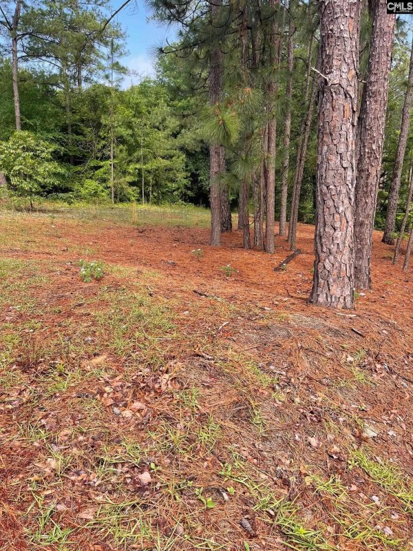 Property image 3 of 2233 Bee Ridge Road in Spring Valley, Columbia, SC 29223