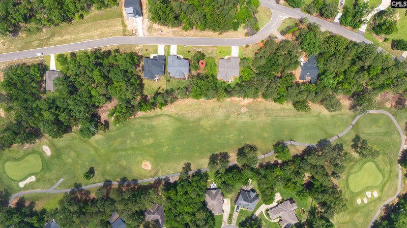 Property image 2 of 521 Misty Banks Drive in Whitewater Landing, Chapin, SC 29036-7202