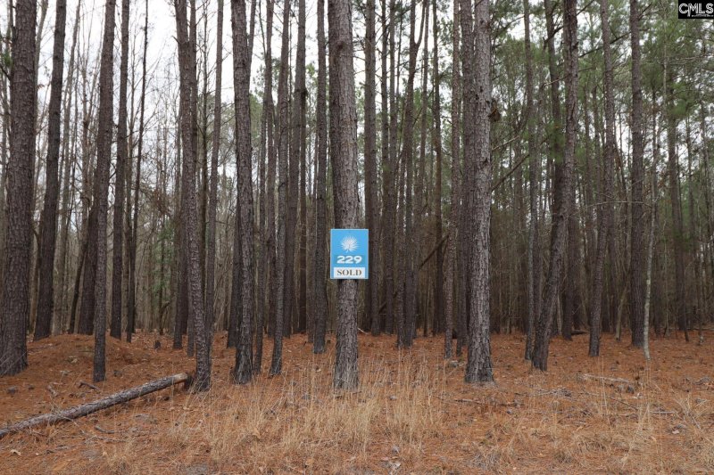 Property image 3 of Lot 229 Granny Hill Road in Stewart Landing, Prosperity, SC 29127
