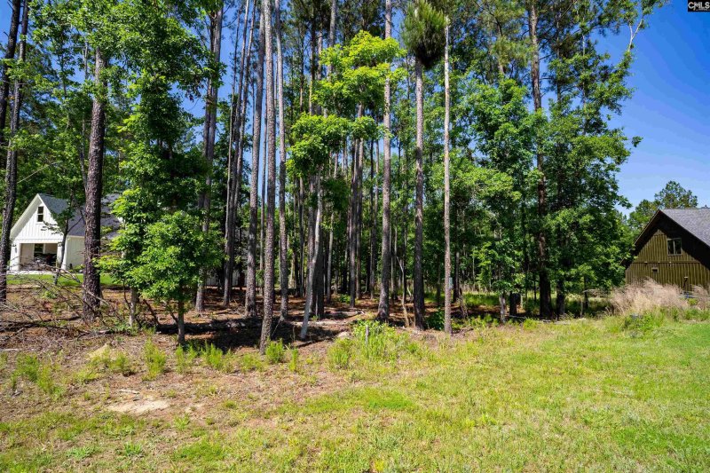 Property image 3 of Lot 79 Timbertrail Lane in Stewart Landing, Prosperity, SC 29127